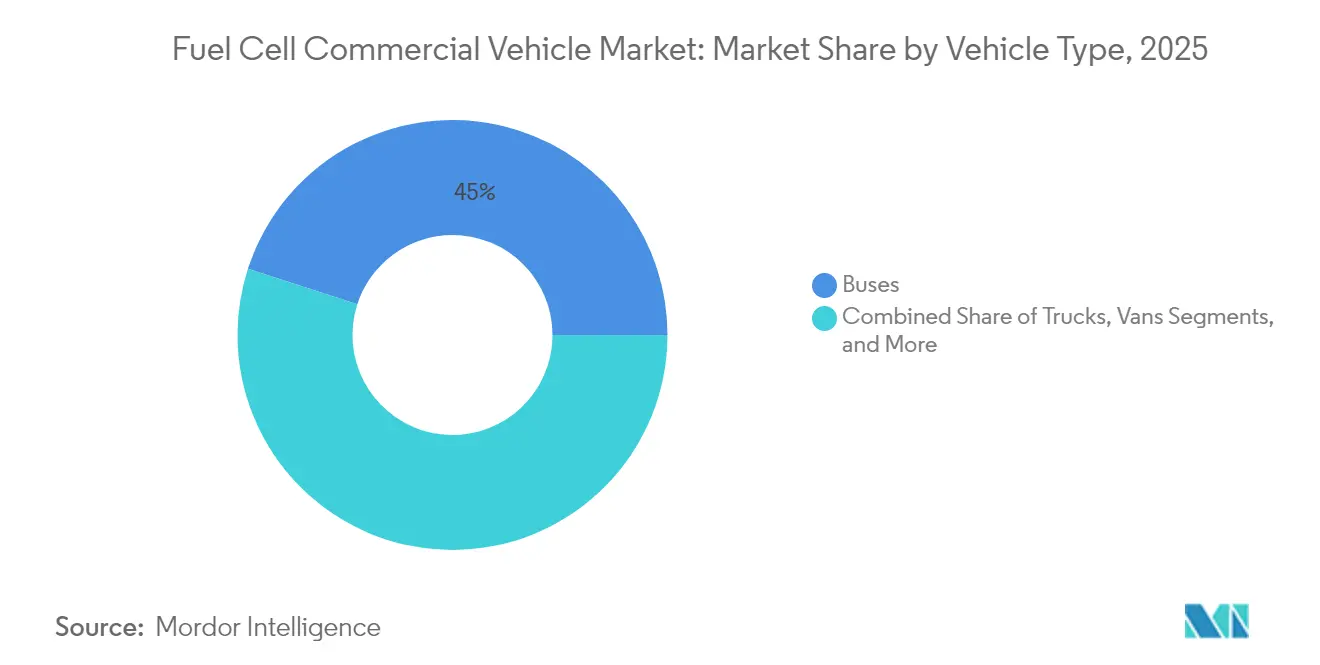 Fuel Cell Commercial Vehicle Market: Market Share by Vehicle Type, 2025