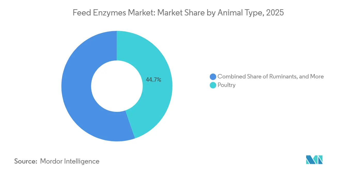 Feed Enzymes Market: Market Share by Animal Type