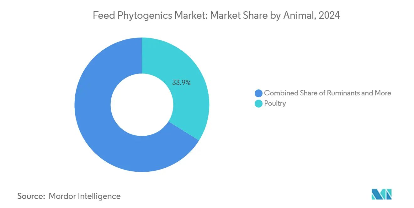 Feed Phytogenics Market: Market Share by Animal