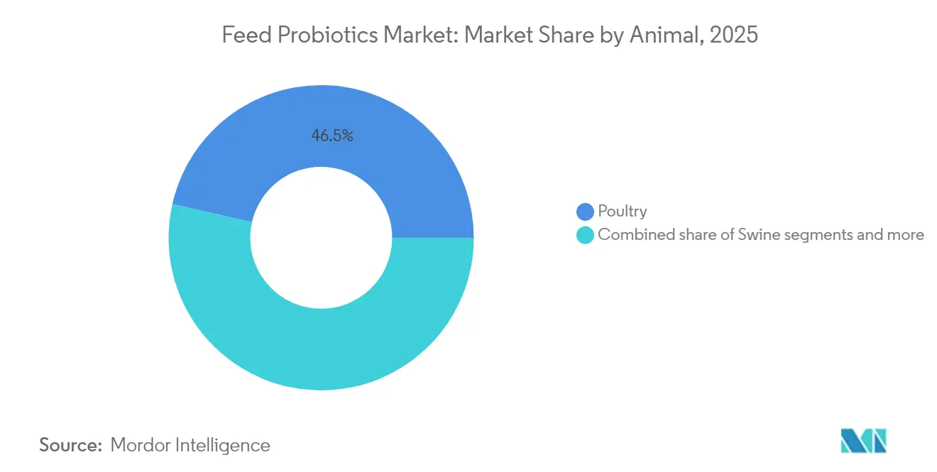 Feed Probiotics Market: Market Share by Animal, 2025