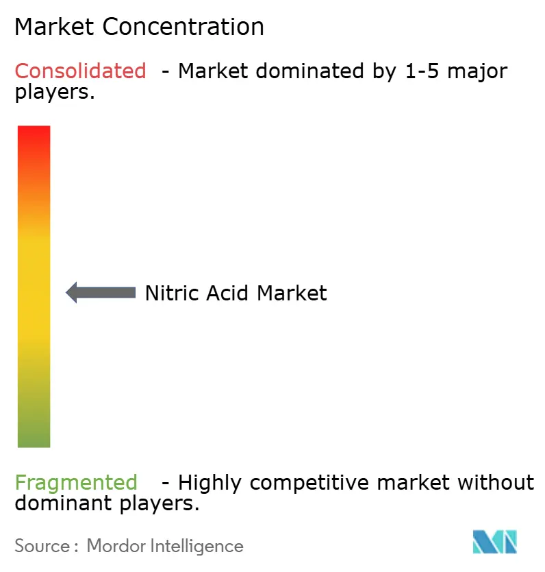 Nitric Acid Market - Market Concentration