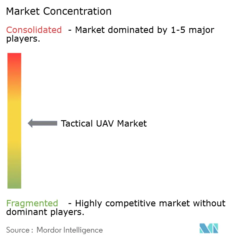 Tactical UAV Market Concentration